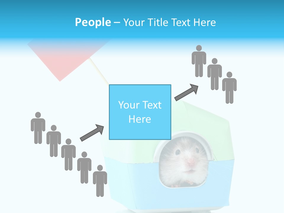 Background Cheek Hamster PowerPoint Template