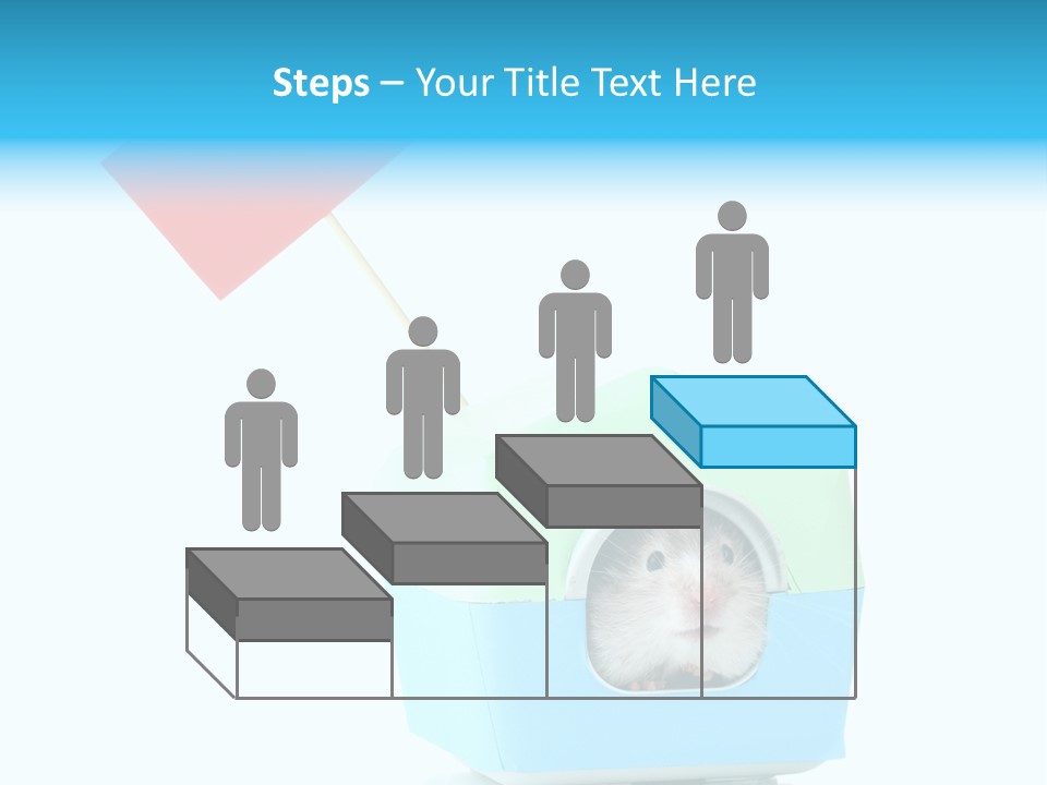 Background Cheek Hamster PowerPoint Template