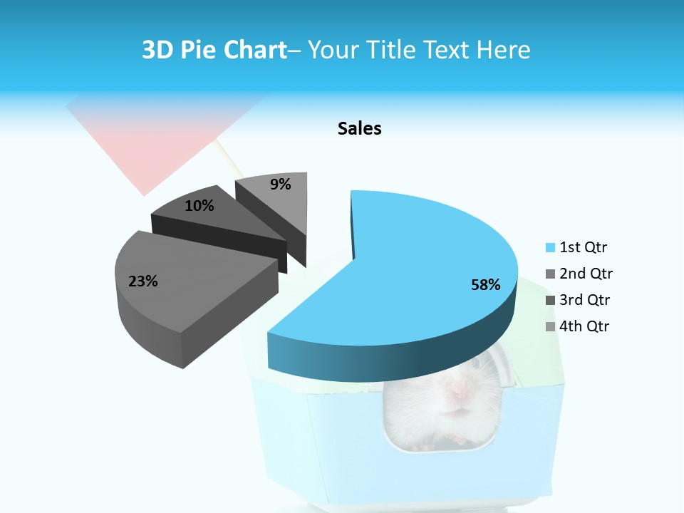 Background Cheek Hamster PowerPoint Template
