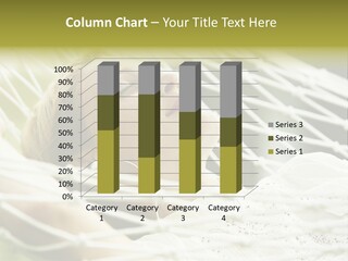 Smiling Sound House PowerPoint Template