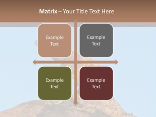 African Male Wild PowerPoint Template