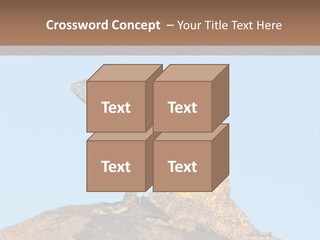 African Male Wild PowerPoint Template