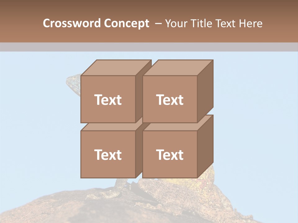 African Male Wild PowerPoint Template