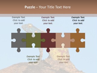 African Male Wild PowerPoint Template