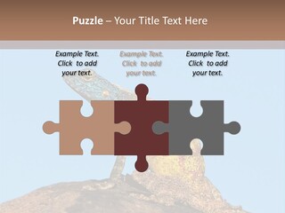 African Male Wild PowerPoint Template