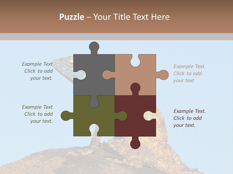 African Male Wild PowerPoint Template