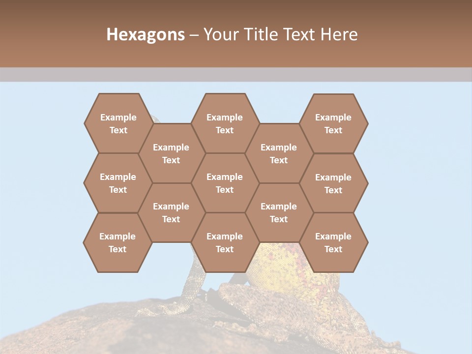 African Male Wild PowerPoint Template