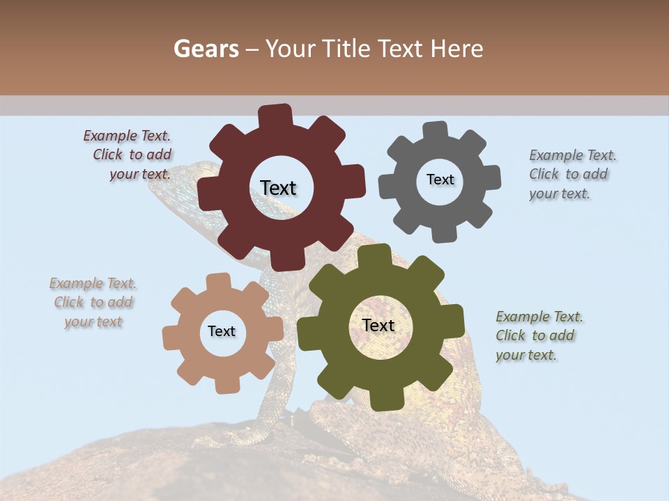 African Male Wild PowerPoint Template