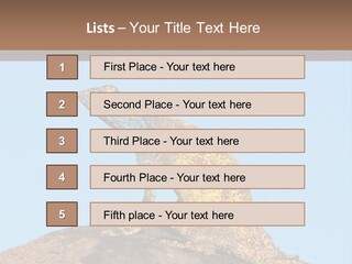 African Male Wild PowerPoint Template
