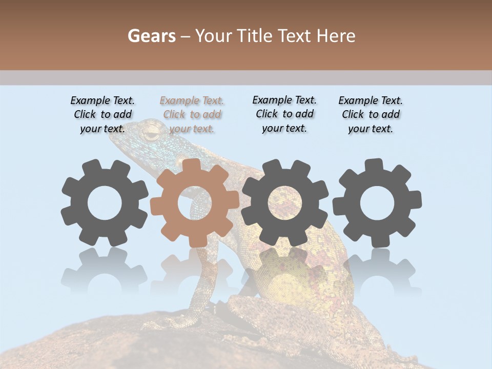 African Male Wild PowerPoint Template