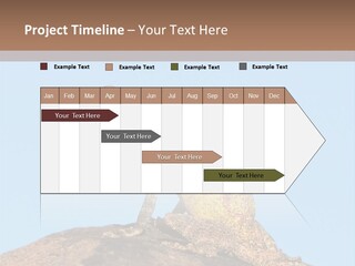African Male Wild PowerPoint Template
