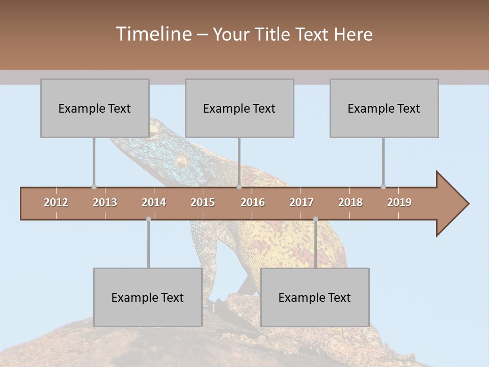 African Male Wild PowerPoint Template