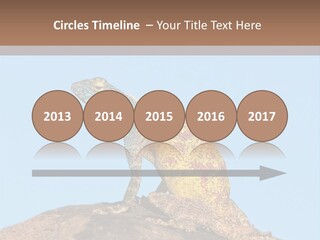 African Male Wild PowerPoint Template