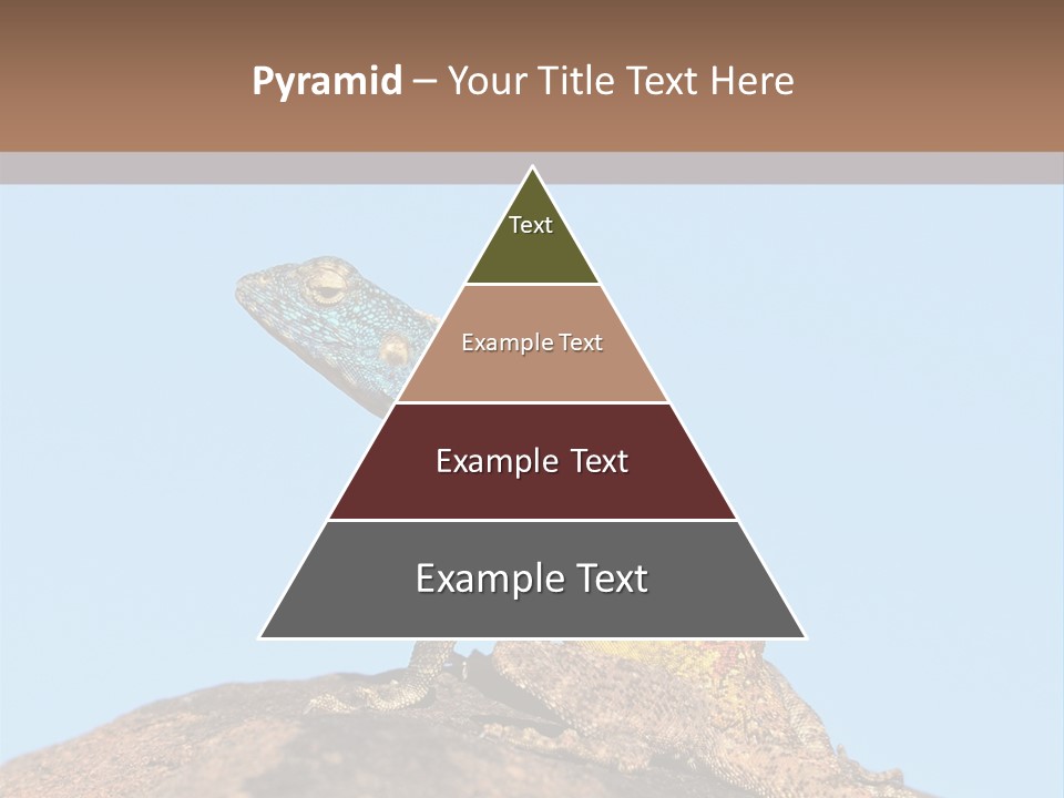 African Male Wild PowerPoint Template