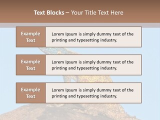 African Male Wild PowerPoint Template