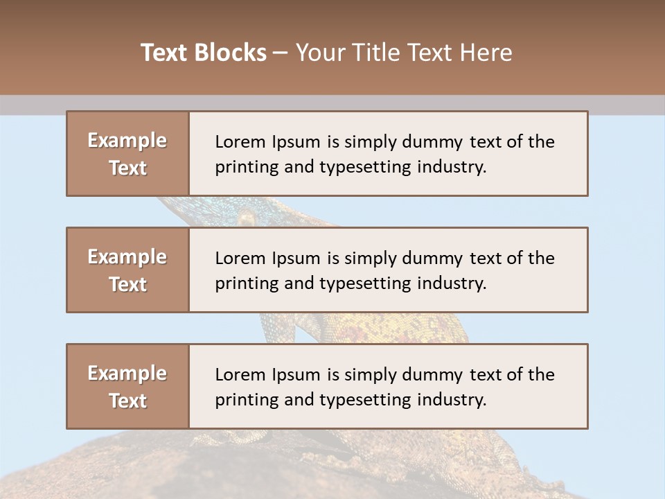 African Male Wild PowerPoint Template