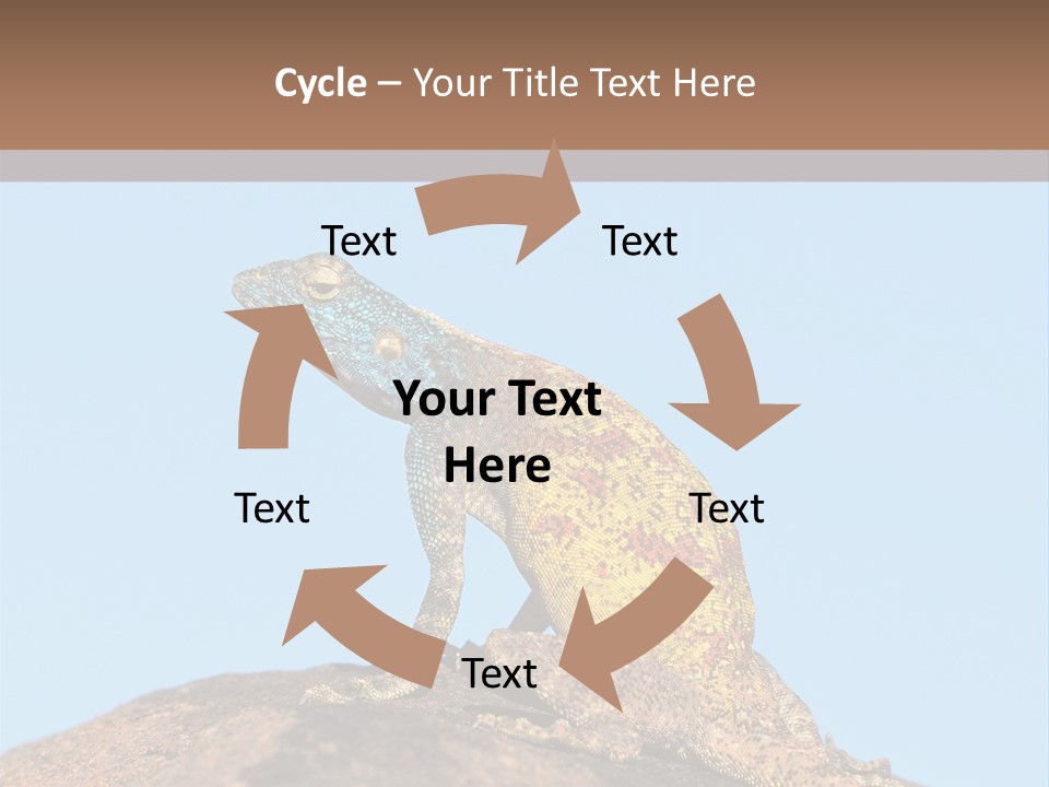 African Male Wild PowerPoint Template