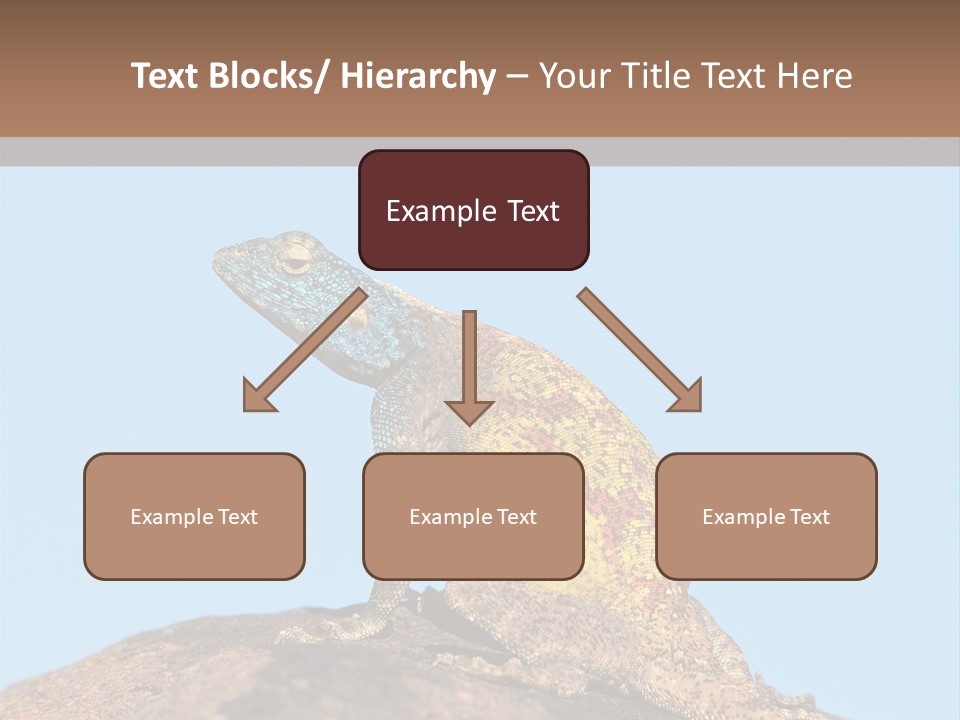 African Male Wild PowerPoint Template