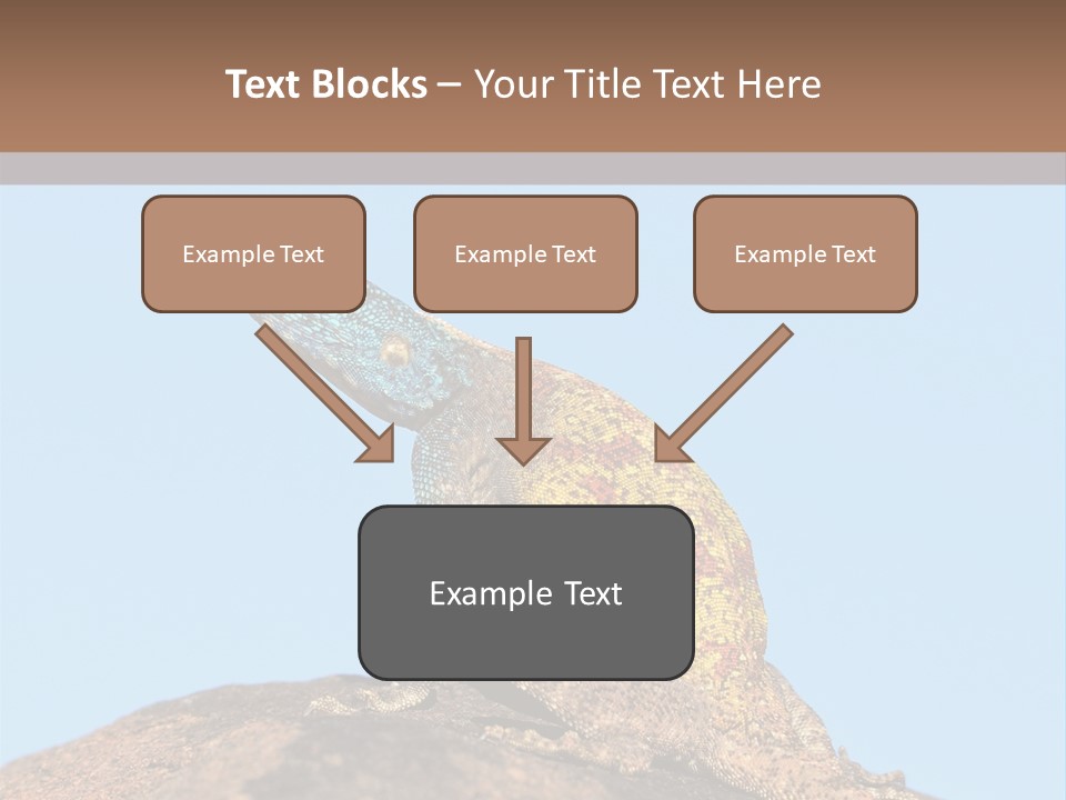 African Male Wild PowerPoint Template