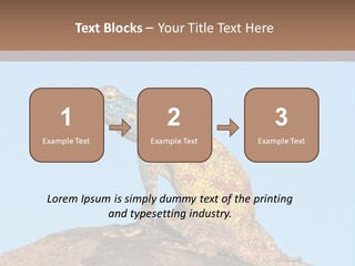 African Male Wild PowerPoint Template