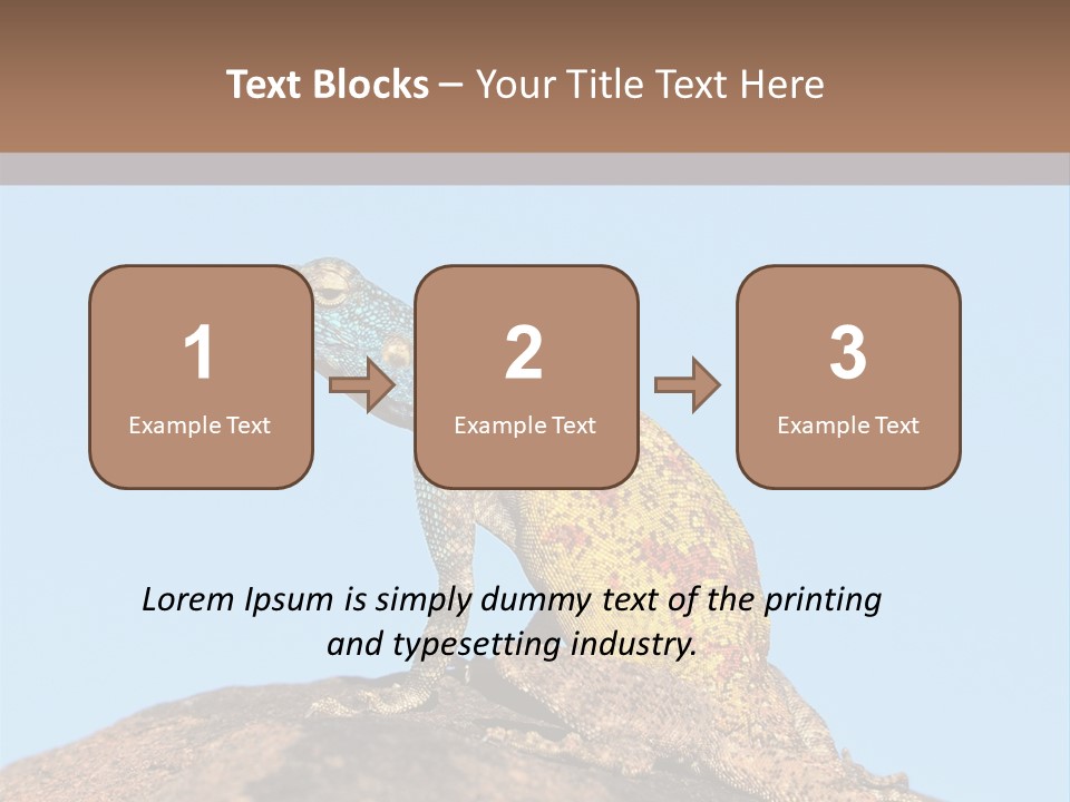 African Male Wild PowerPoint Template