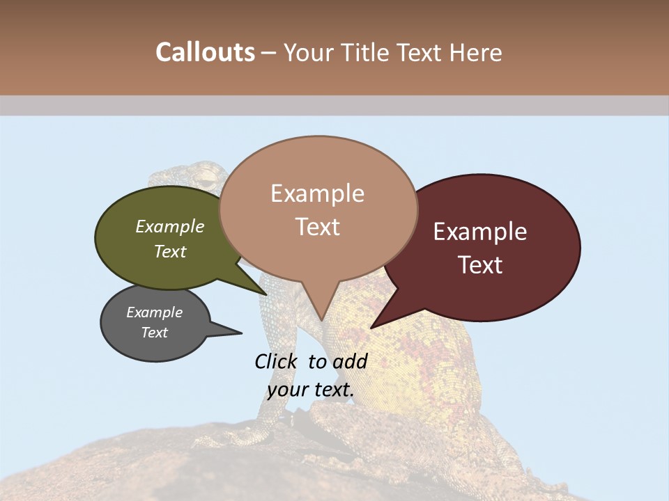 African Male Wild PowerPoint Template