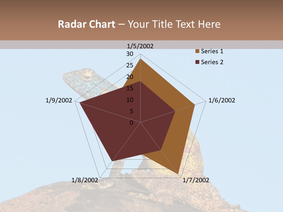 African Male Wild PowerPoint Template