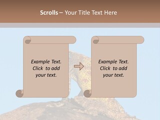 African Male Wild PowerPoint Template