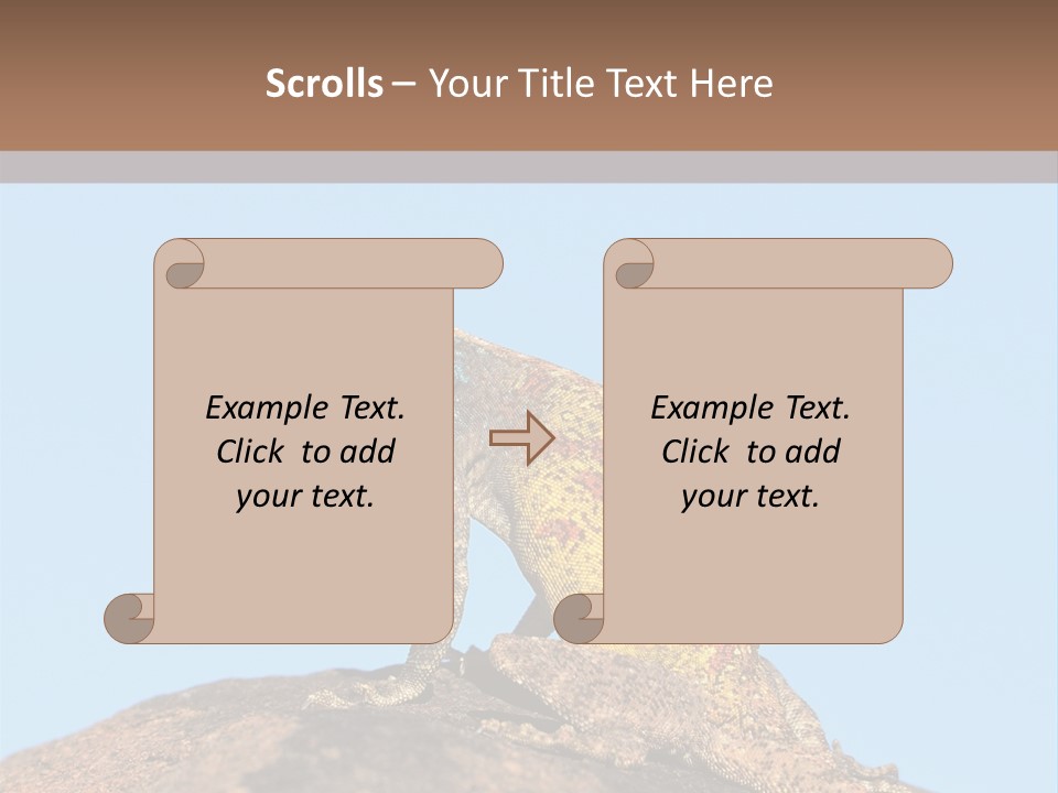 African Male Wild PowerPoint Template