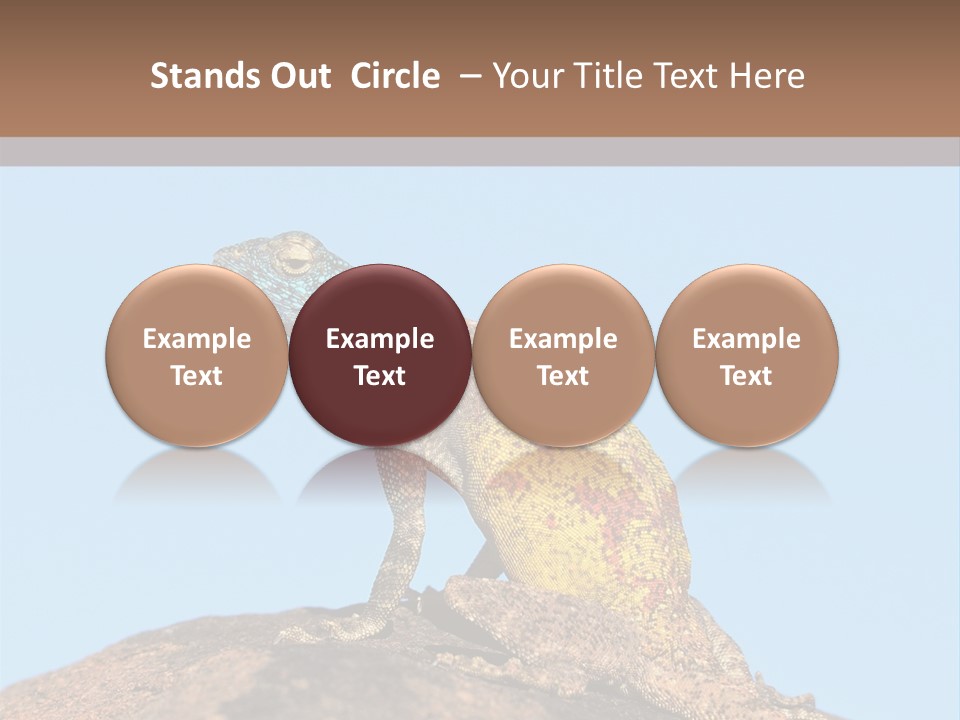 African Male Wild PowerPoint Template