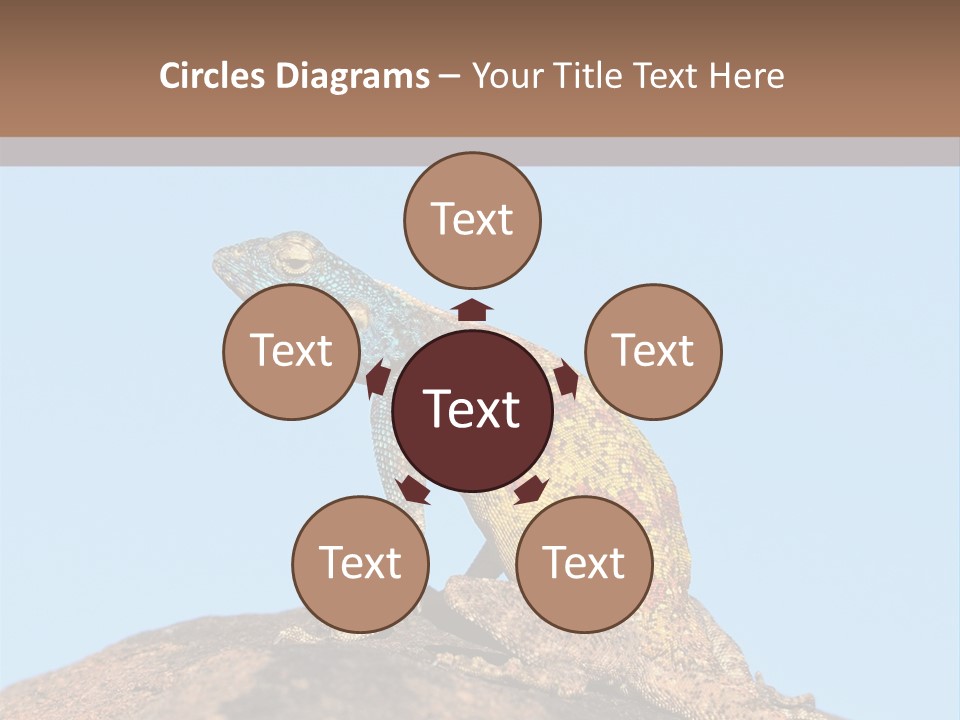 African Male Wild PowerPoint Template