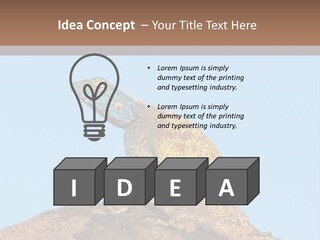 African Male Wild PowerPoint Template