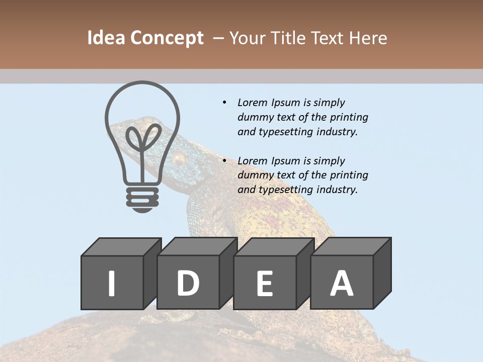 African Male Wild PowerPoint Template