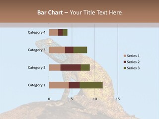 African Male Wild PowerPoint Template