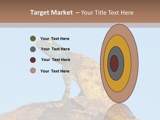 African Male Wild PowerPoint Template