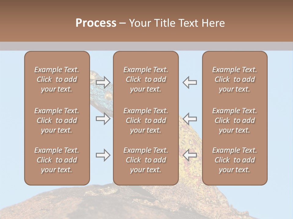 African Male Wild PowerPoint Template