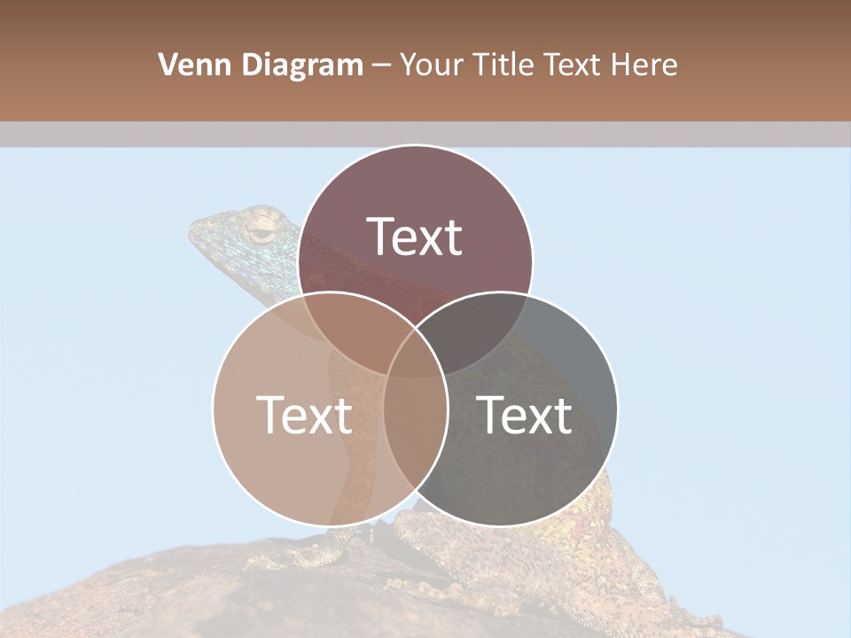 African Male Wild PowerPoint Template