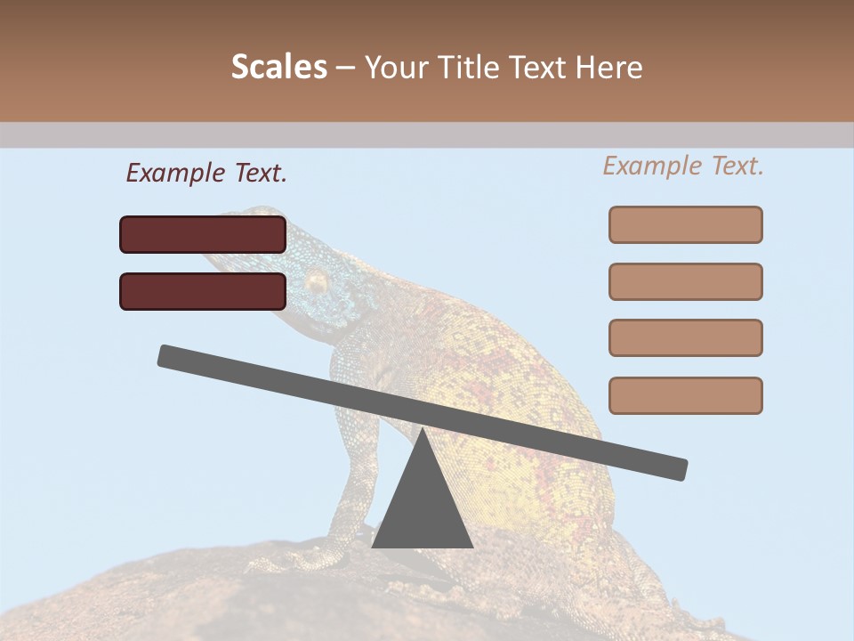 African Male Wild PowerPoint Template