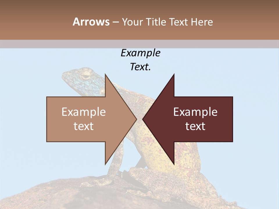 African Male Wild PowerPoint Template