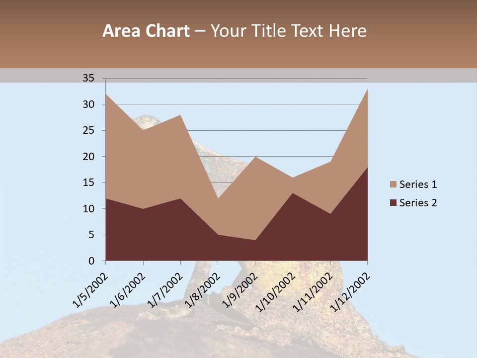 African Male Wild PowerPoint Template