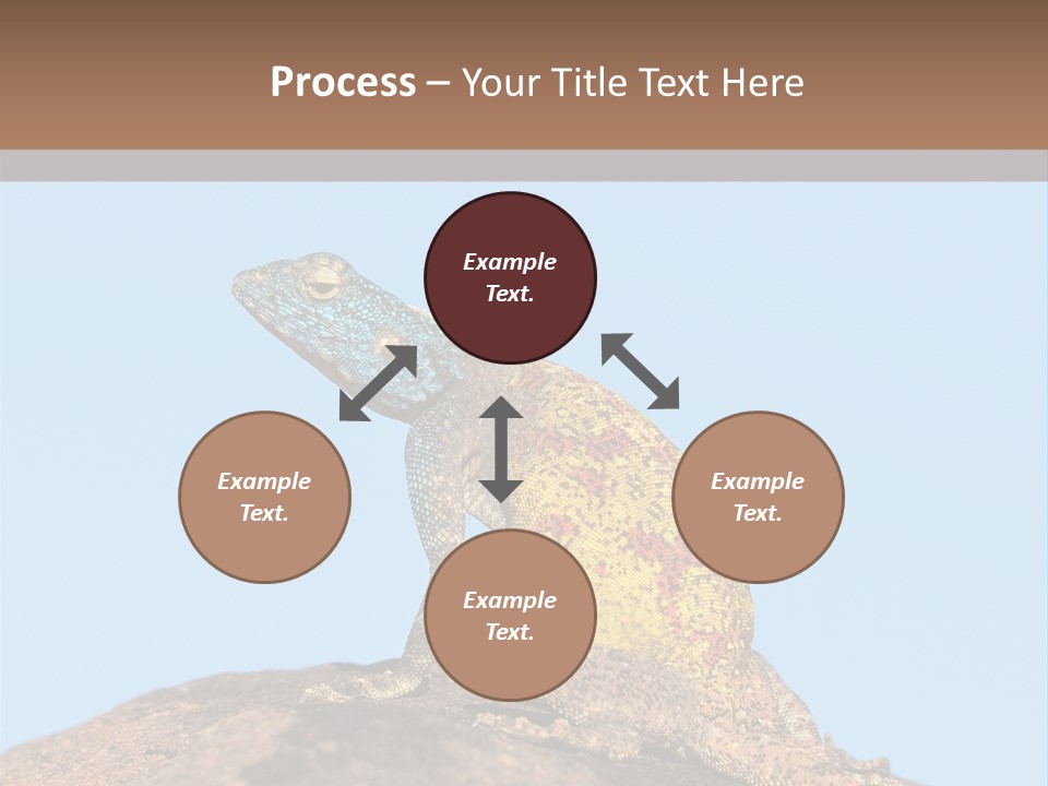 African Male Wild PowerPoint Template