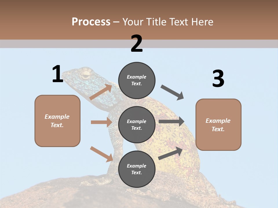African Male Wild PowerPoint Template