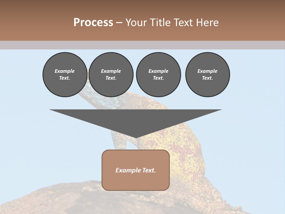 African Male Wild PowerPoint Template