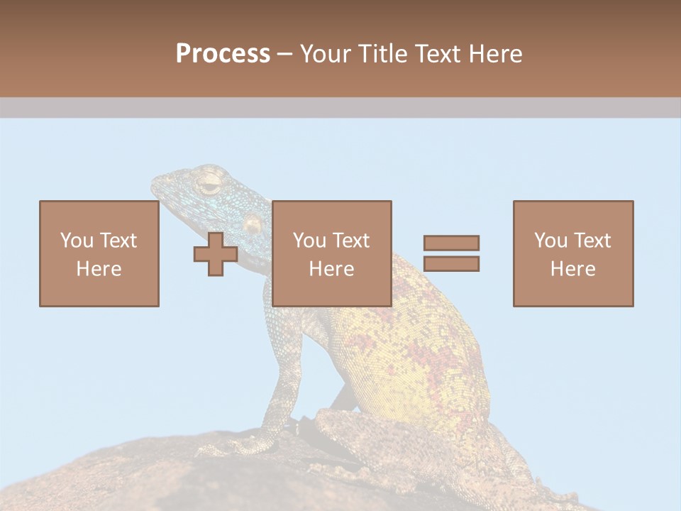 African Male Wild PowerPoint Template