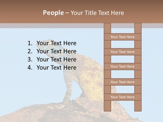 African Male Wild PowerPoint Template