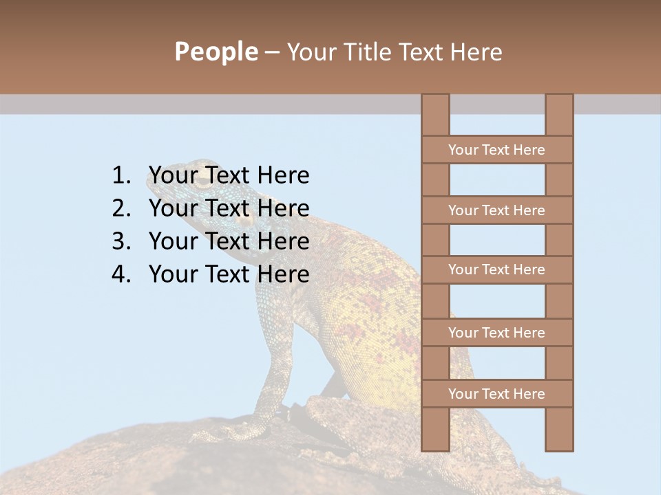 African Male Wild PowerPoint Template