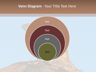 African Male Wild PowerPoint Template