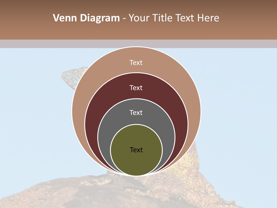 African Male Wild PowerPoint Template