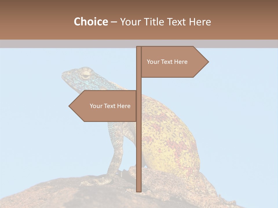 African Male Wild PowerPoint Template