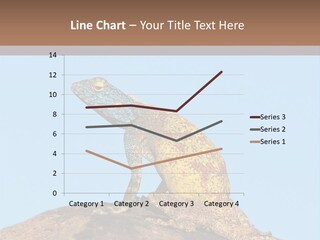 African Male Wild PowerPoint Template